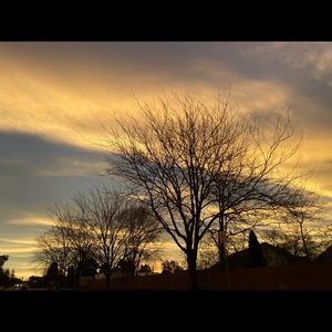 Meet your Posher, Diem